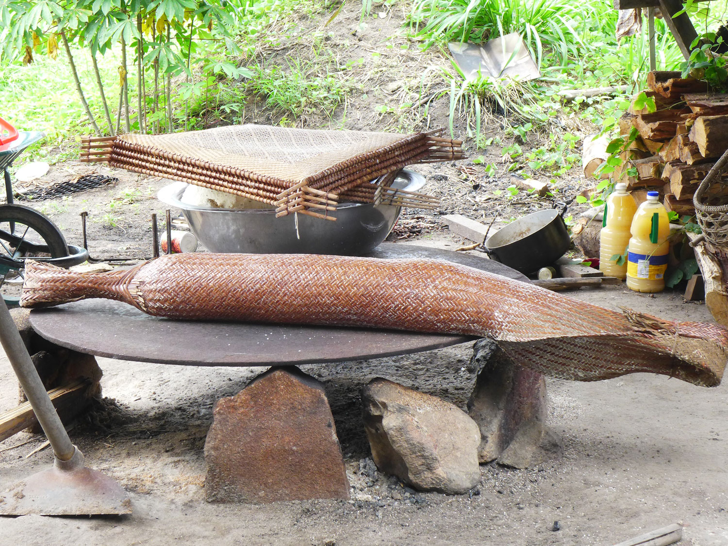 La couleuvre pour presser le manioc.