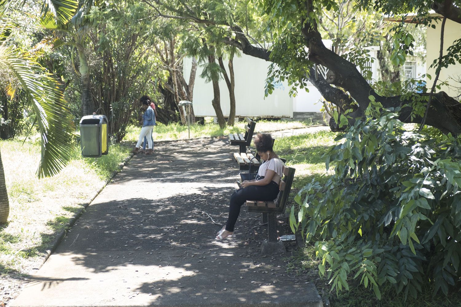 C’est le jour de la rentrée à La Réunion. Les élèves et les étudiants ont cinq semaines de vacances à Noël car pour eux, ce sont aussi les grandes vacances d’été ! Et oui, les saisons sont inversées par rapport à la métropole. 