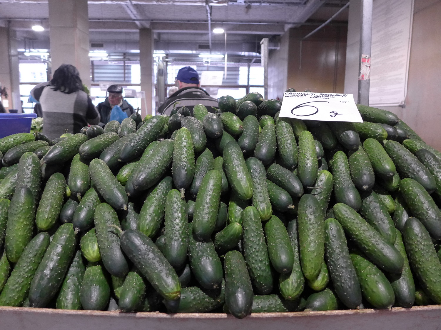 Les concombres roumains sont beaucoup plus petits que ceux qu’on trouve en France.