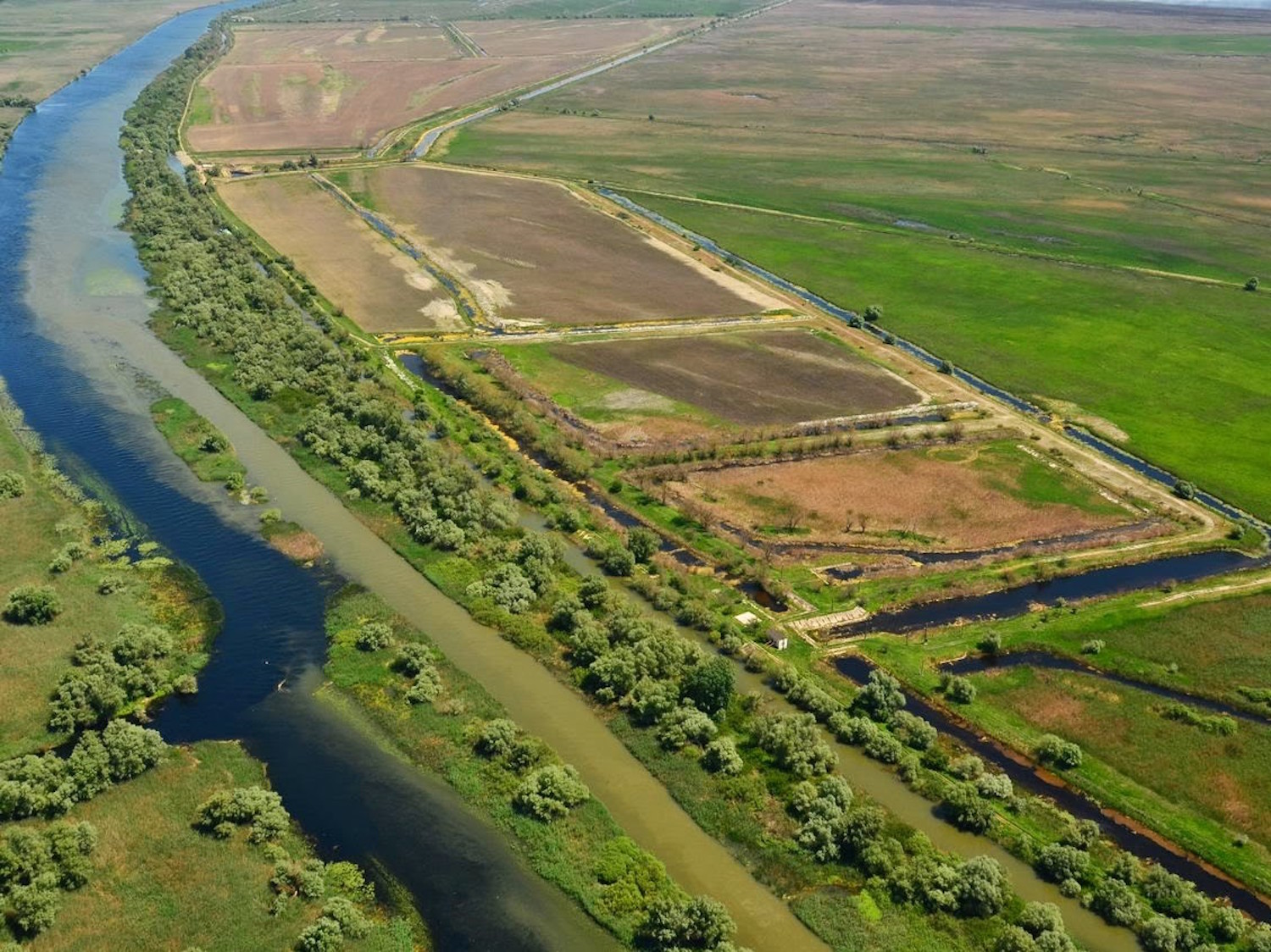 Dans le delta, il y a aussi des champs, pour l’agriculture. Ici, c’est une ancienne ferme piscicole, dont les bassins ont été transformés en terres agricoles (photo : Cristian Miteltu)