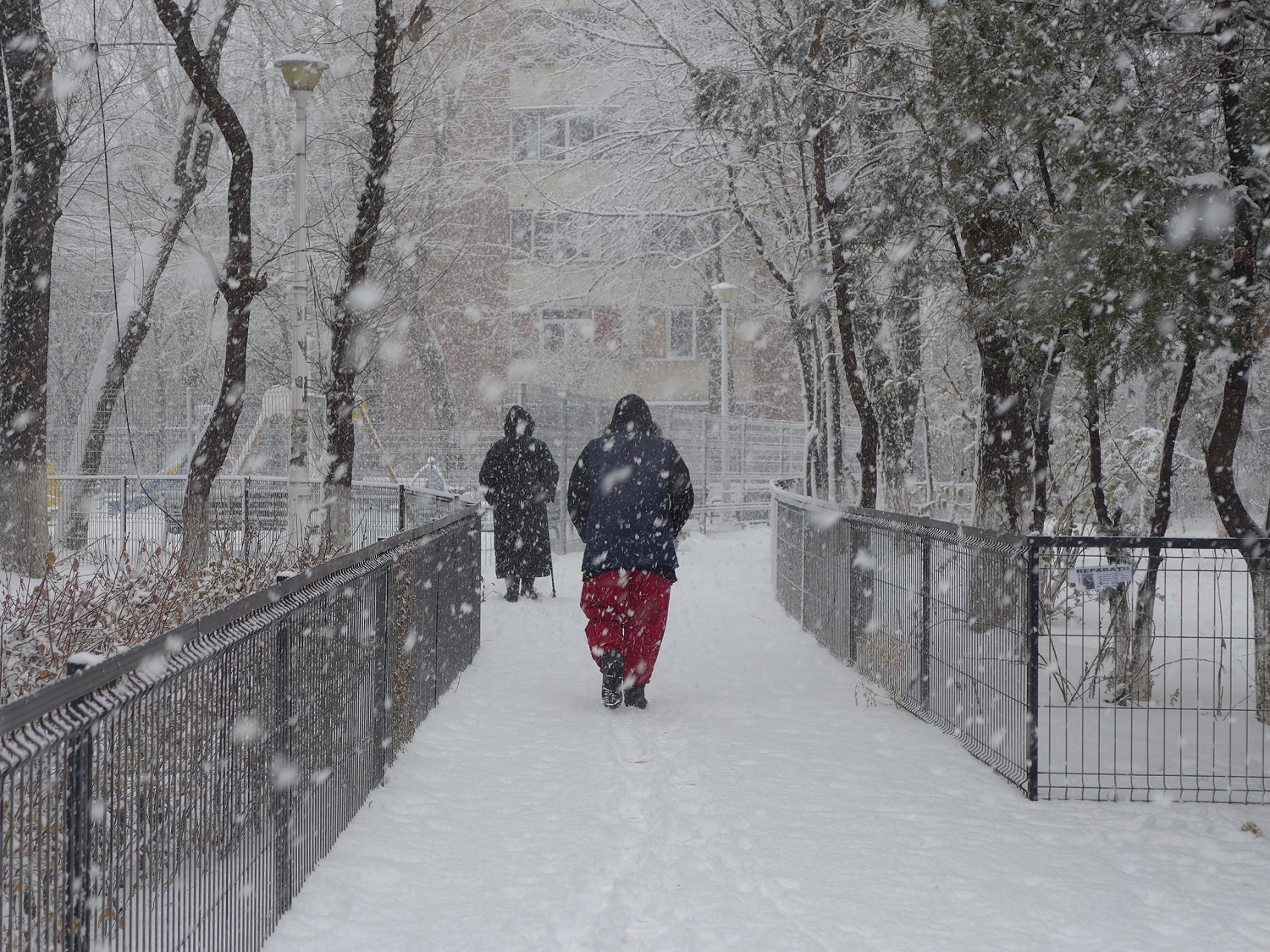 La neige tombe à gros flocons