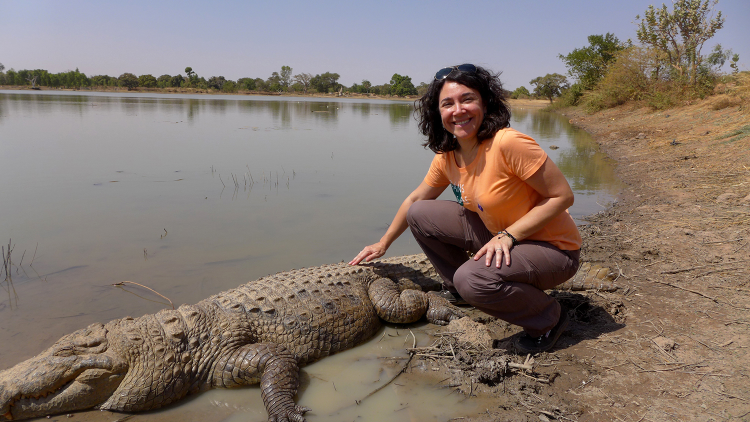 L’envoyée spéciale des globe-reporters avec un crocodile sacré. La peau est très dure et donne l’impression d’être faite en pierre. Ce sont des écailles. 