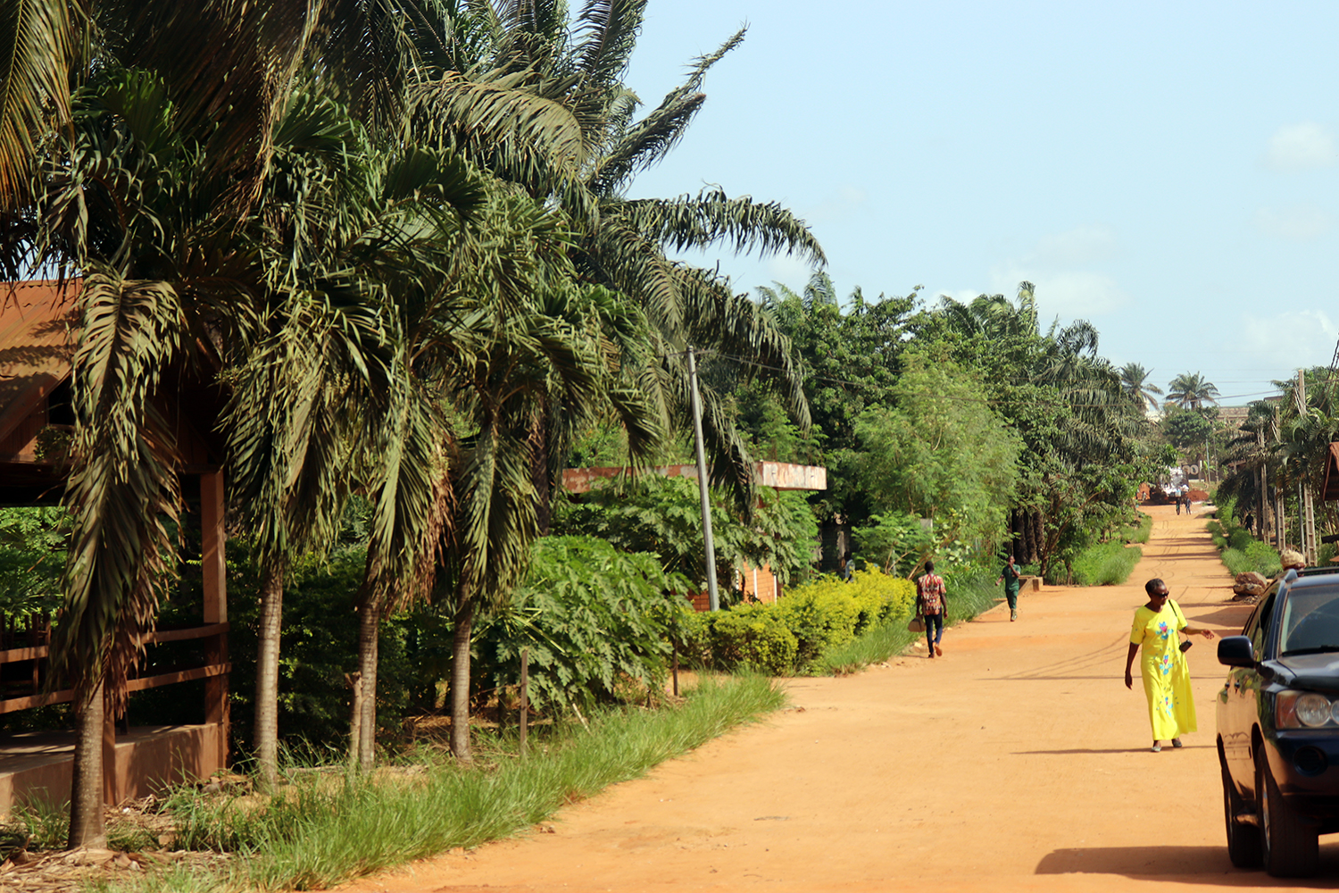 Le centre Songhaï s’étend sur 22 hectares à Porto Novo. C’est un centre de formation pour des jeunes entrepreneurs agricoles sur un modèle de développement durable. 