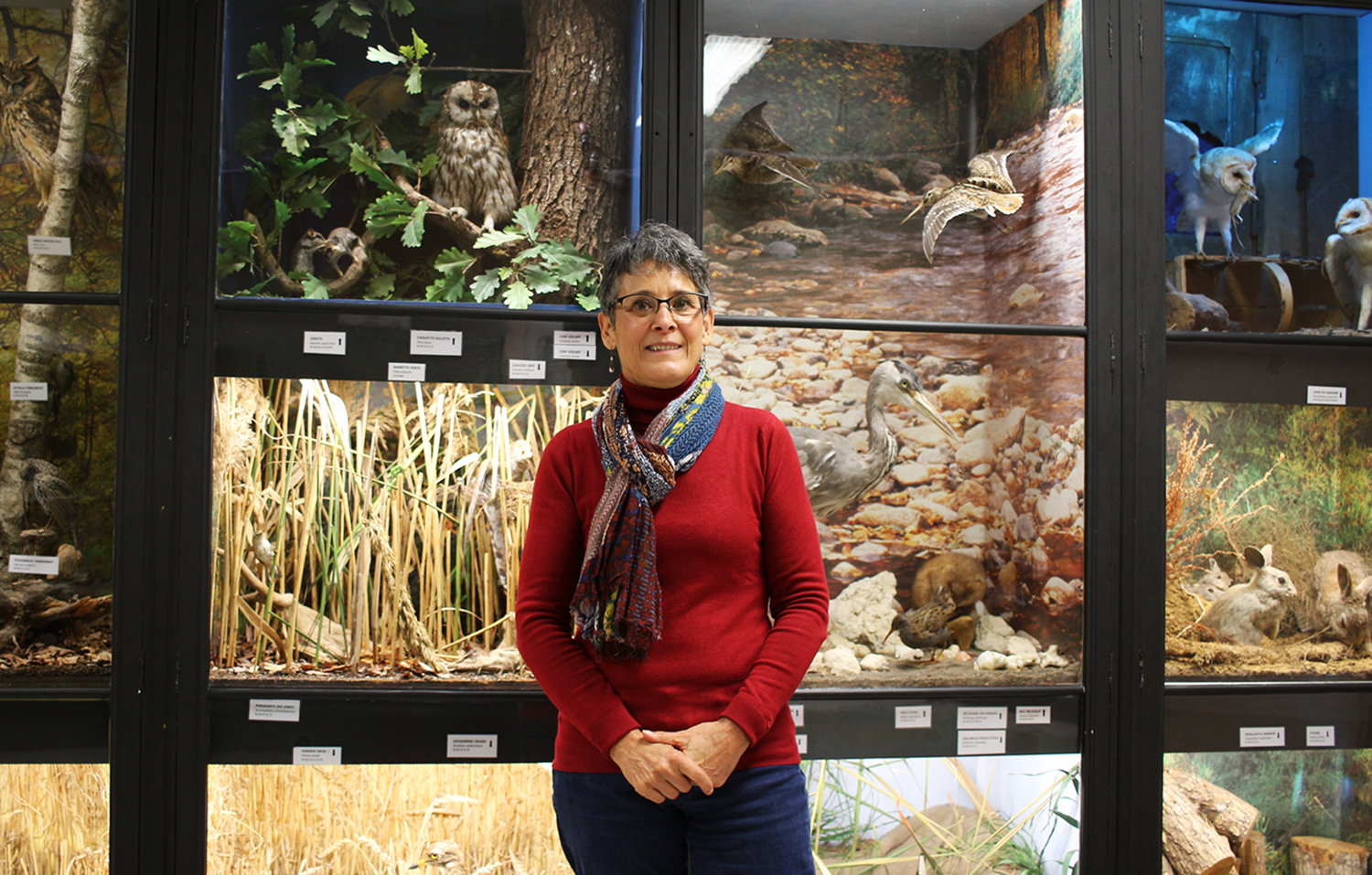 Portrait d’Anna RODRIGUEZ devant des reconstitutions du milieu naturel dans lequel vivaient ces animaux naturalisés © Globe Reporters