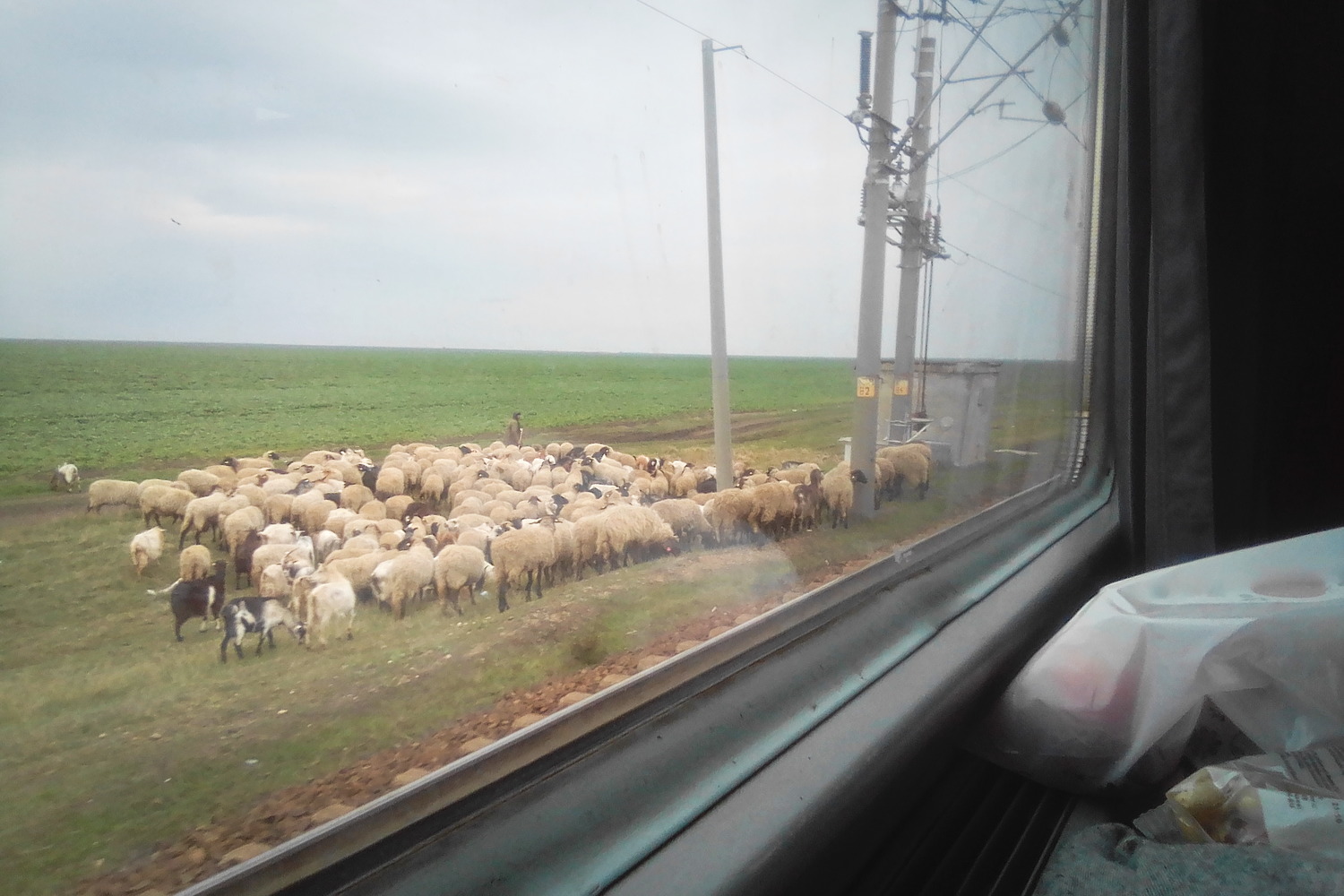 Vue du train de Bucarest à Subcetat © Globe Reporters