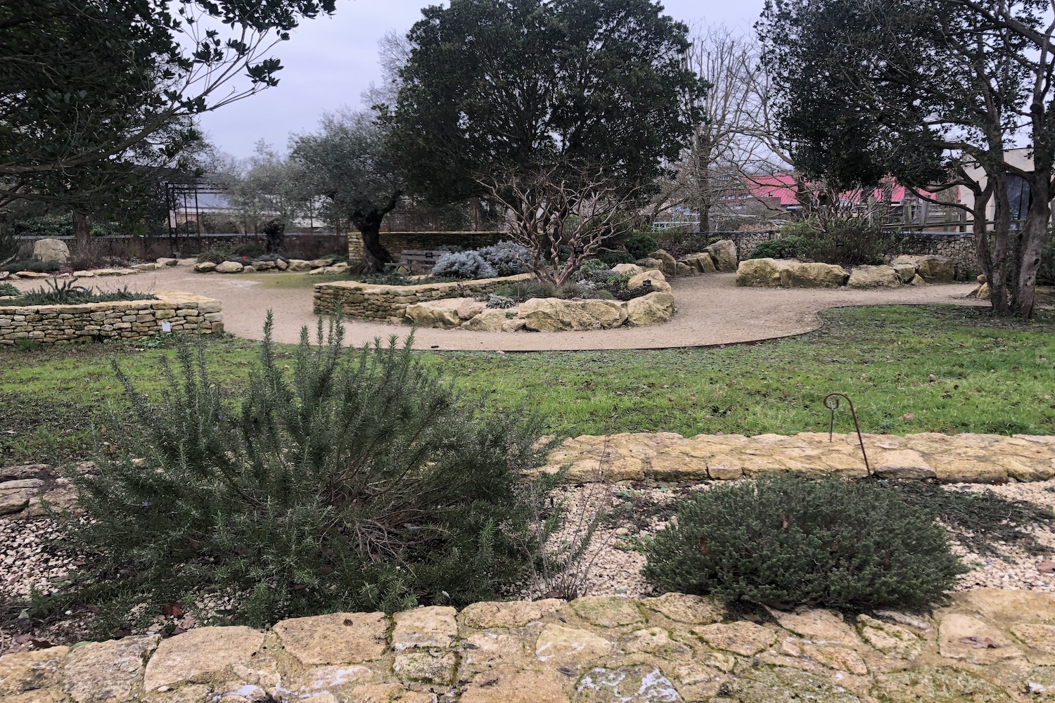 Le jardin sans eau a été créé il y a bientôt en 2019. 90% des plantes qui y poussent viennent de l’espace méditerranéen, les autres de Corée du Sud ou de Californie © Globe Reporters