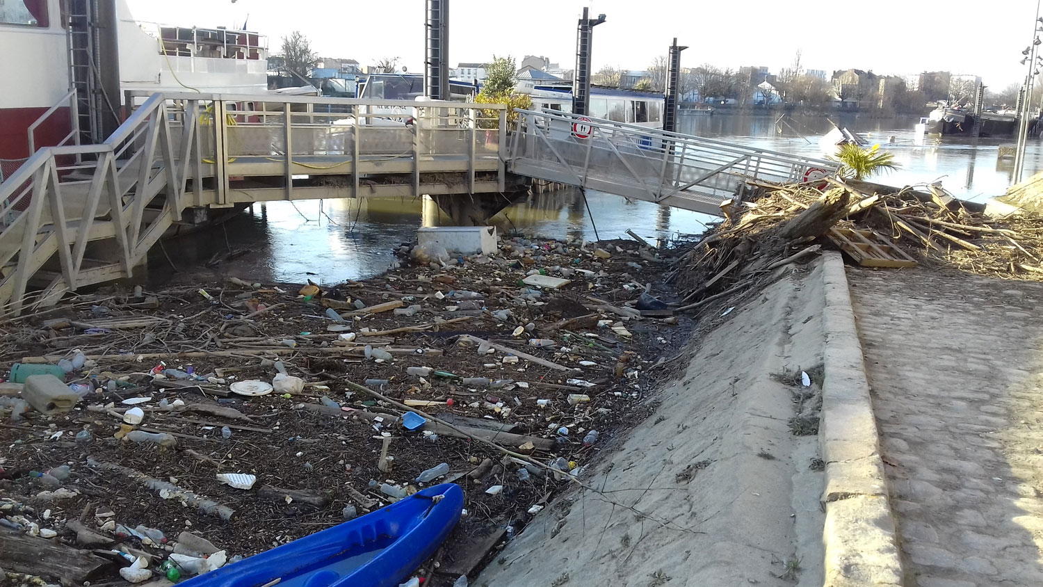 Les berges de la Seine à Alfortville pendant la crue de l’hiver 2018 © Romain TRAMOY