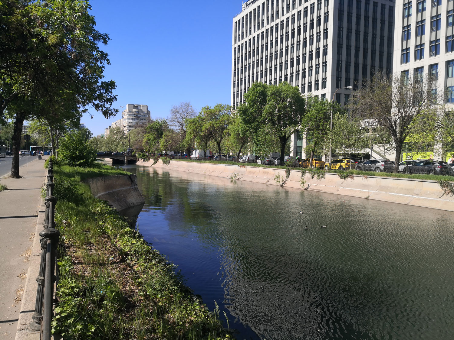 Un barrage vient ralentir le cours de la rivière à l’entrée de Bucarest pour lui permettre de traverser ensuite tranquillement la ville dans un canal © Globe Reporters