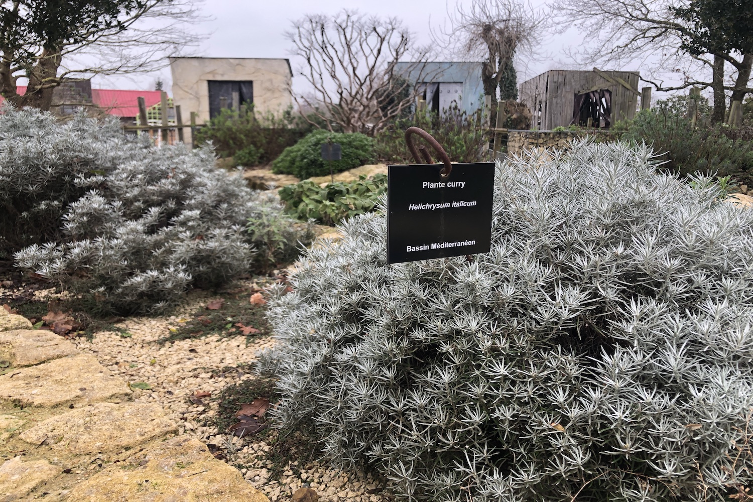 Dans le jardin sans eau, on trouve environ 80 espèces représentées pour 2 000 plantes. Tous ces végétaux s’épanouissent bien dans les sols pauvres où il y a peu de matière organique © Globe Reporters