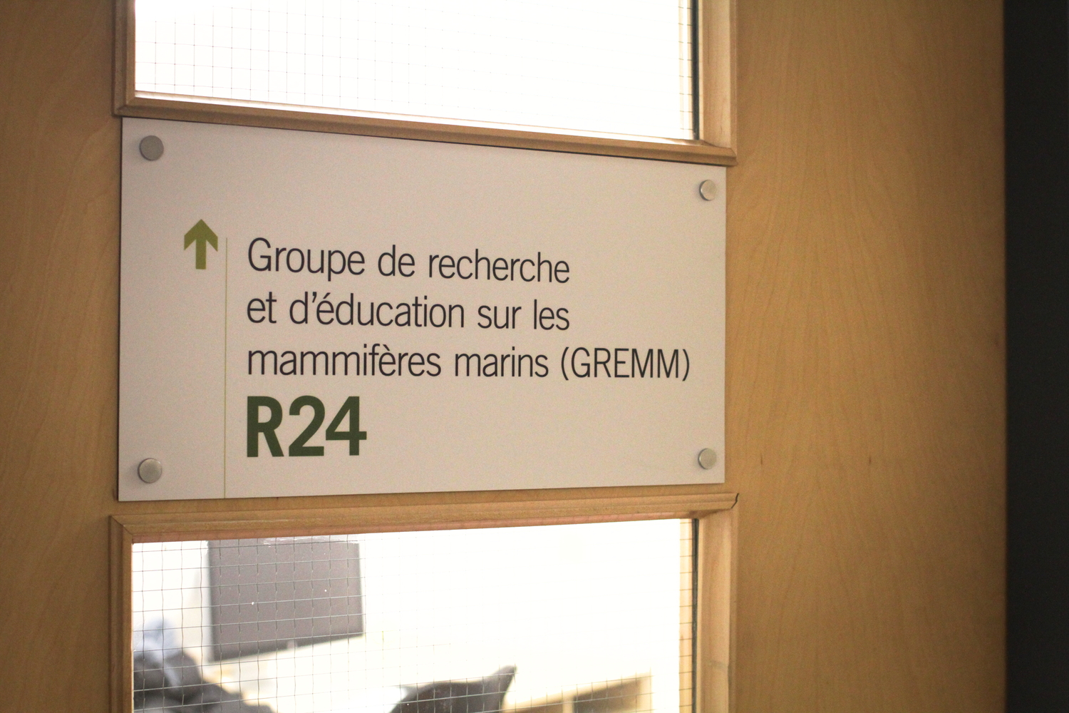 Entrée des bureaux du GREMM.