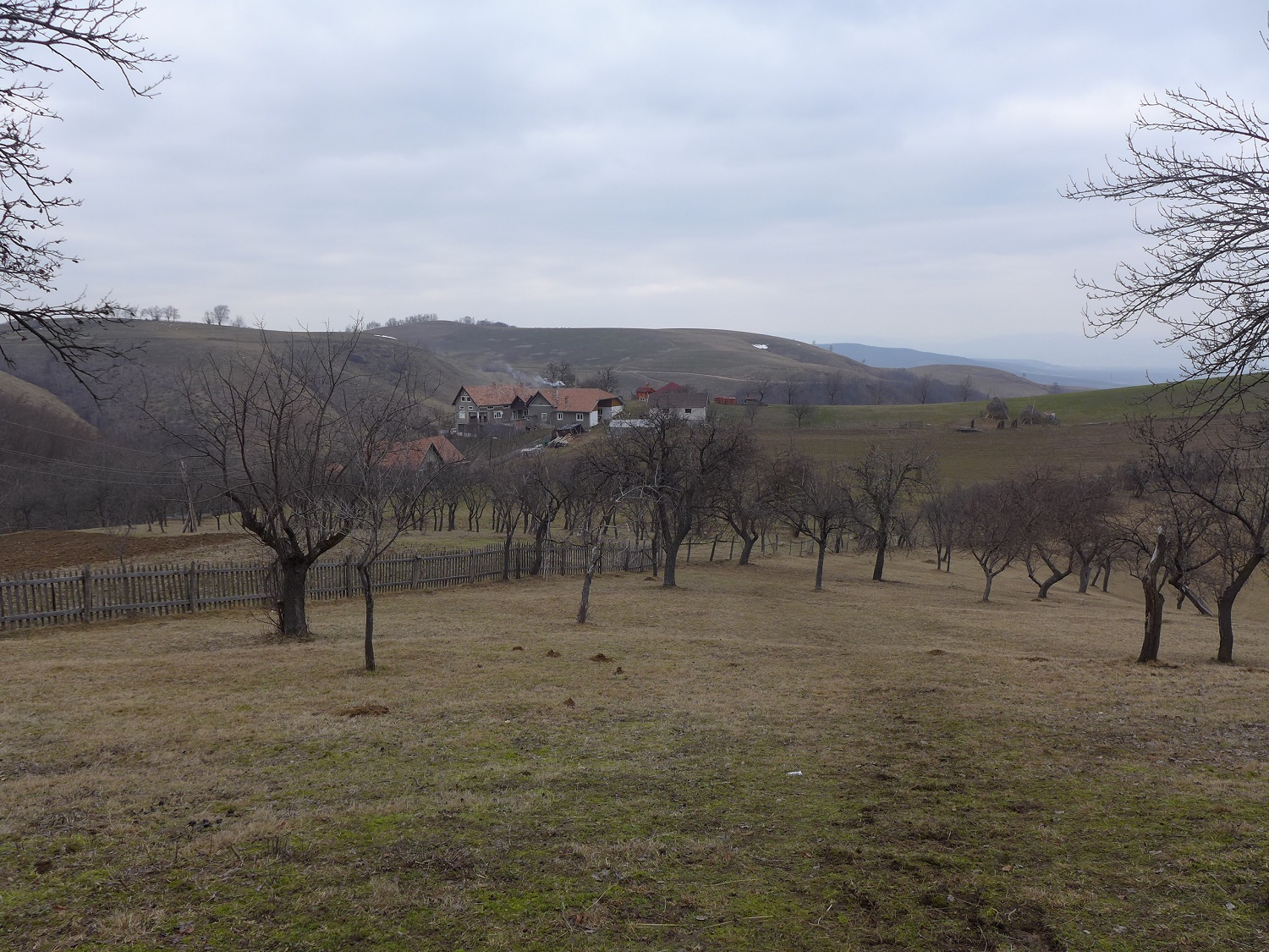 Elle se trouve au sommet des collines. Au premier plan, on voit les arbres fruitiers. Tout au fond, on aperçoit la maison de Petru FAUR et différents bâtiments de sa ferme.