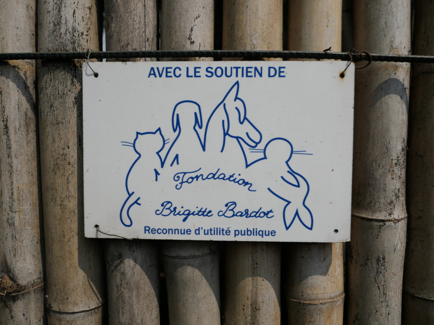 Le Limbé Wildlife Center a différentes sources de financement dont des organisations de protection des animaux et de la nature © Globe Reporters