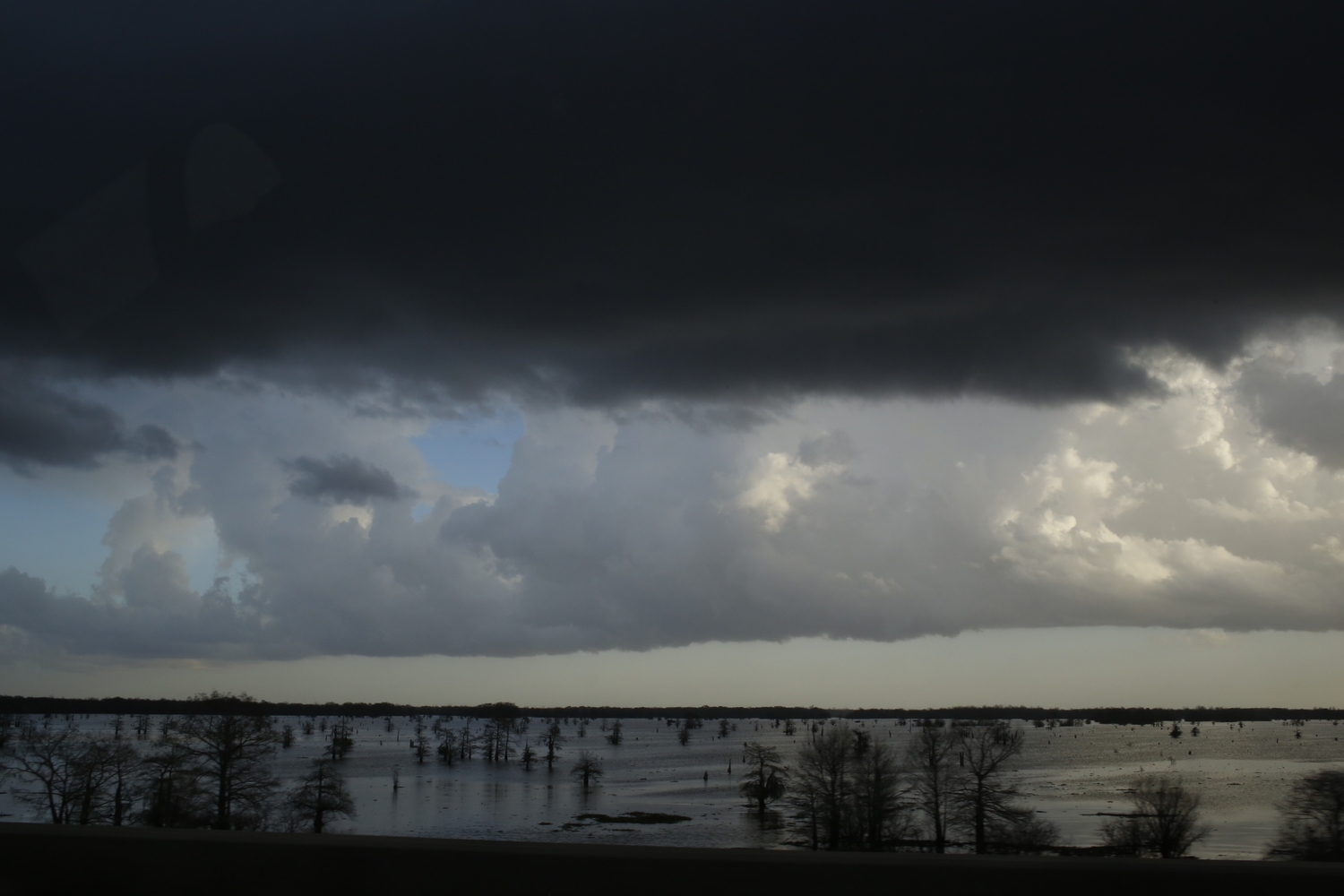 Vue sur le bassin de l’Atchafalaya © Globe Reporters