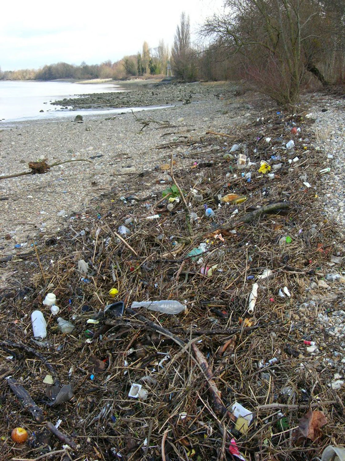Estuaire de la Seine, aout 2019 déchets échoués sur une berge et collectés soigneusement avec leur emplacement © Romain TRAMOY