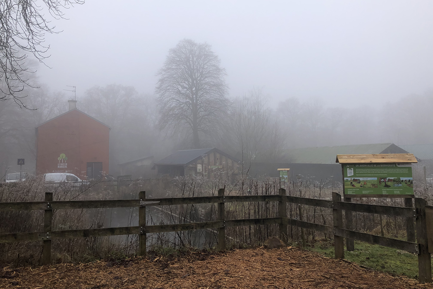 Interview et reportage réalisés par temps de brouillard, au bois de Maroeuil© Globe Reporters