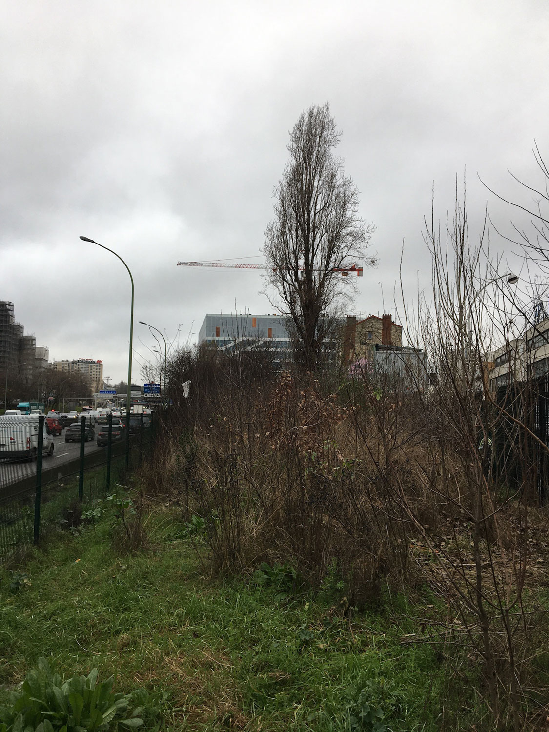 La forêt urbaine de la porte de Montreuil © Globe Reporters