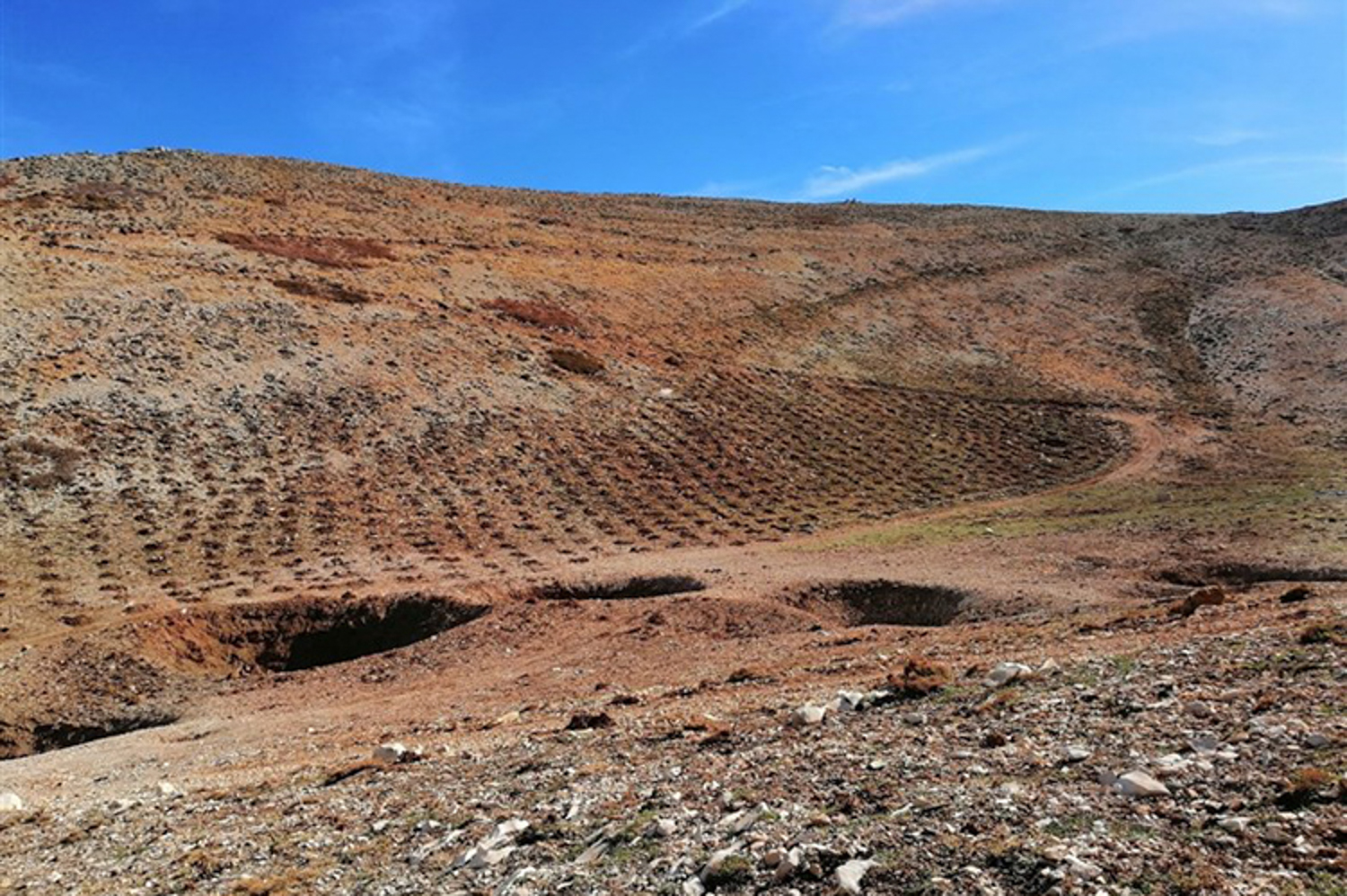 Depuis sa création, l’association a planté plus d’un millions deux cents milles graines, sur une superficie d’environ 2600 hectares. ©lri