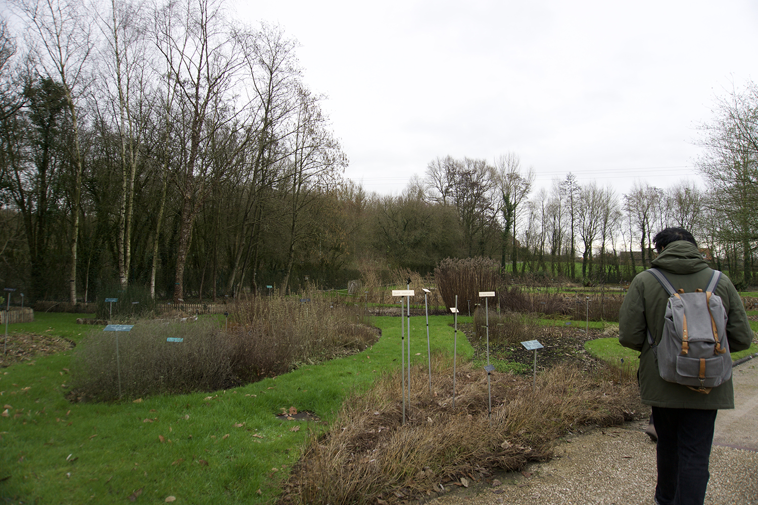 Le Conservatoire botanique national de Bailleul s’étend sur 25 hectares et dispose notamment de trois jardins. © Globe Reporters