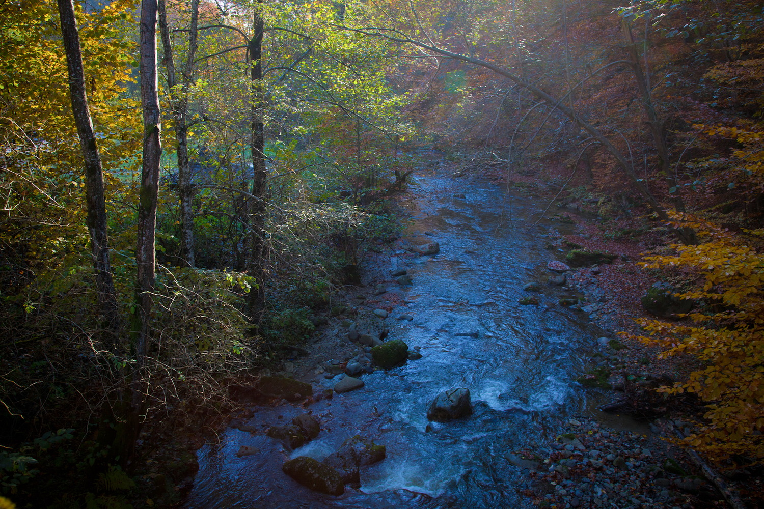 La rivière Valsan où se trouve l’asprete aujourd’hui © Alex GAVAN Foundation