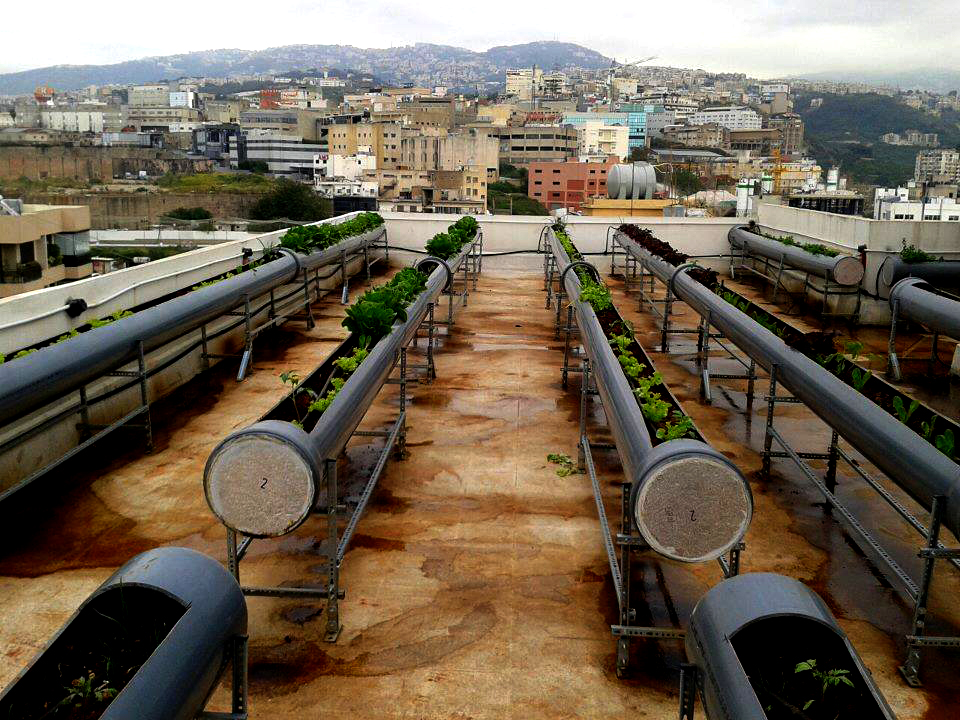 Le toit vert est situé sur le toit de l’immeuble.