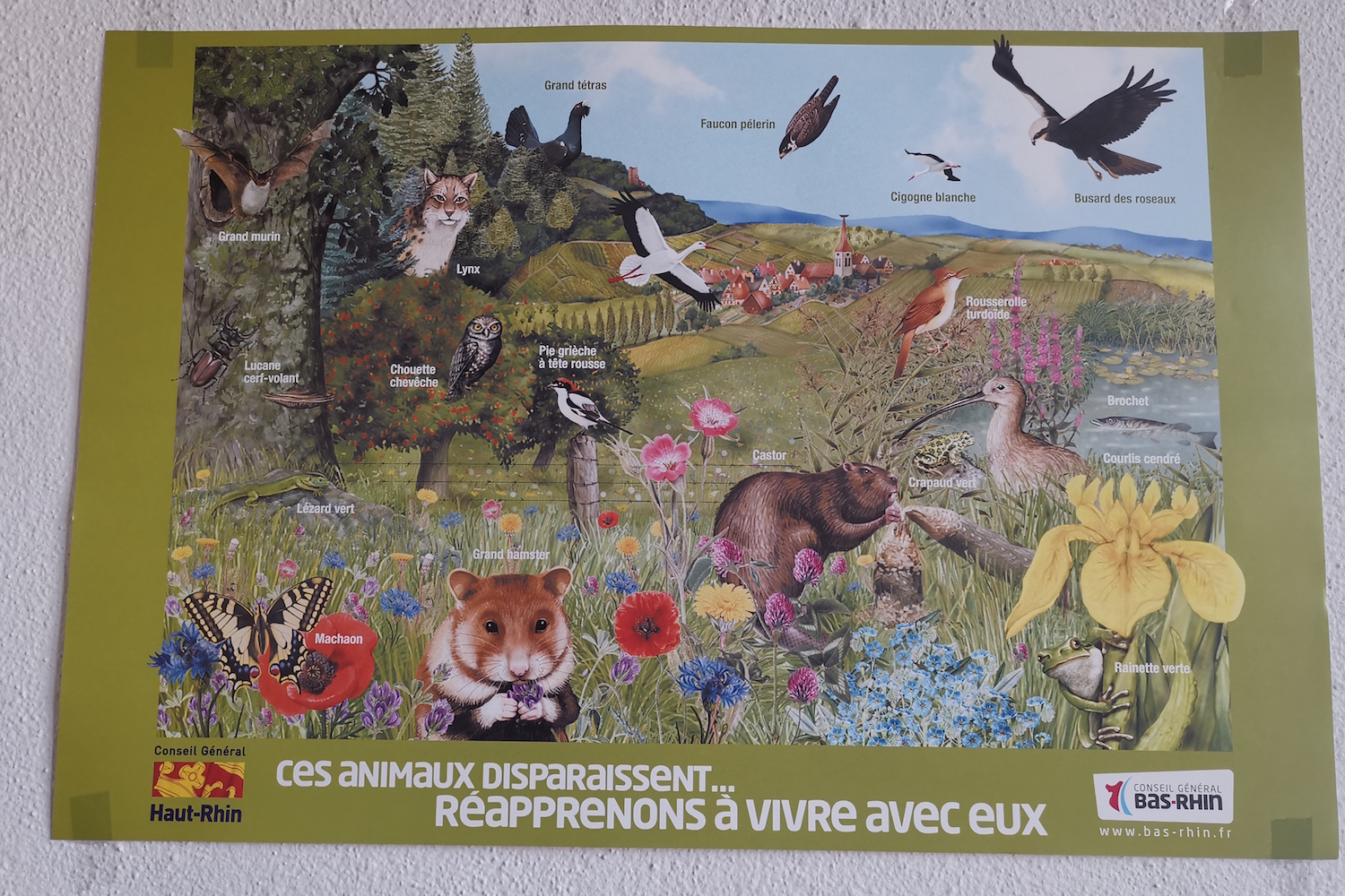 Une affiche qui alerte sur la disparition des animaux de la région © Globe Reporters