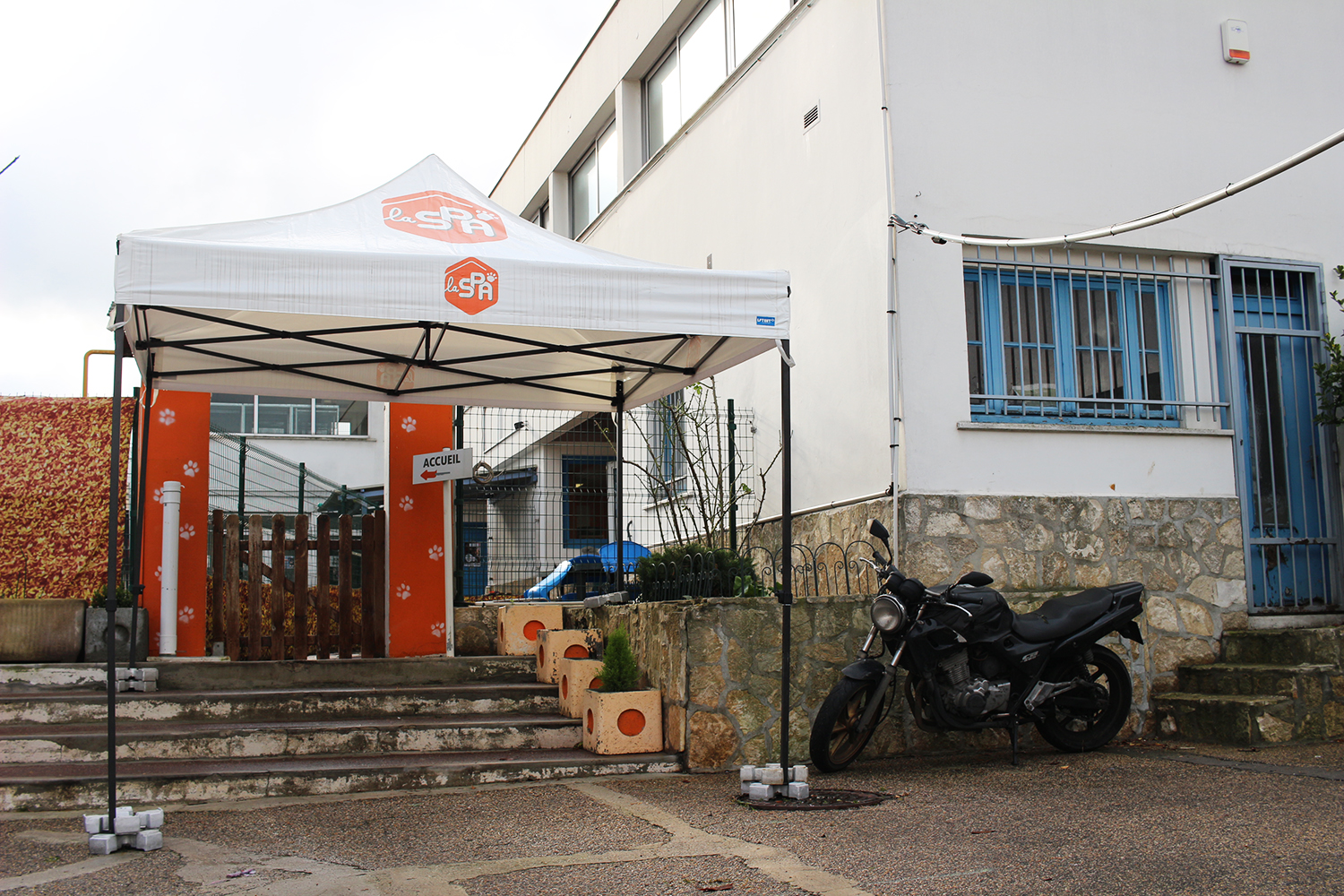 Une fois la première porte passée, notre journaliste doit patienter un peu devant un petit portail en bois pour des raisons sanitaires avant d’entrer dans les locaux de la SPA. L’occasion de se désinfecter les mains et de prendre photo ! © Globe Reporters