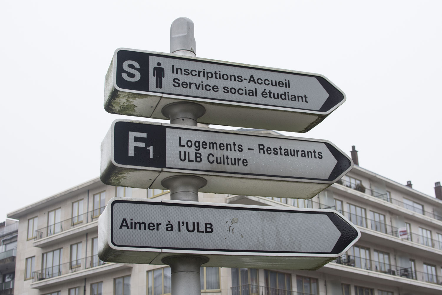 Le bureau de Corinne Torrekens se trouve dans le bâtiment des inscriptions