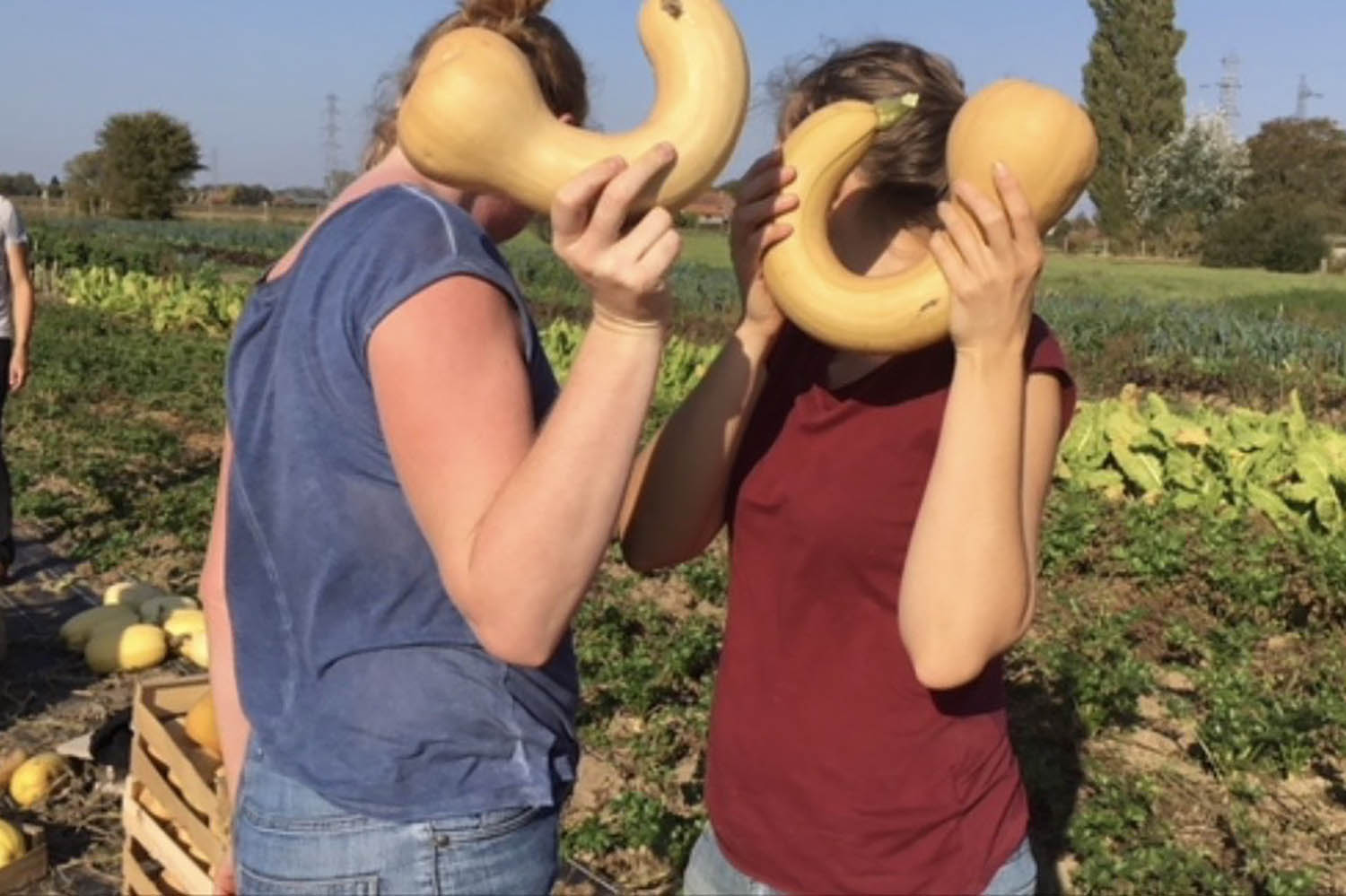 Dominique est née dans une famille d’agriculteurs et agricultrices. Ils ont une exploitation maraichère biologique à Wambrechies © Globe Reporters