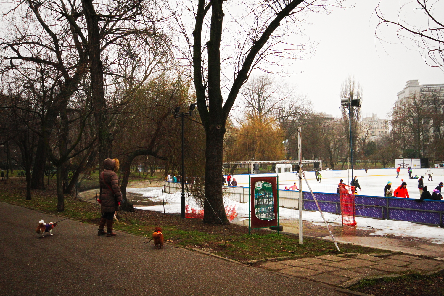 Patinoire dans le parc Cismigiu © Globe Reporters