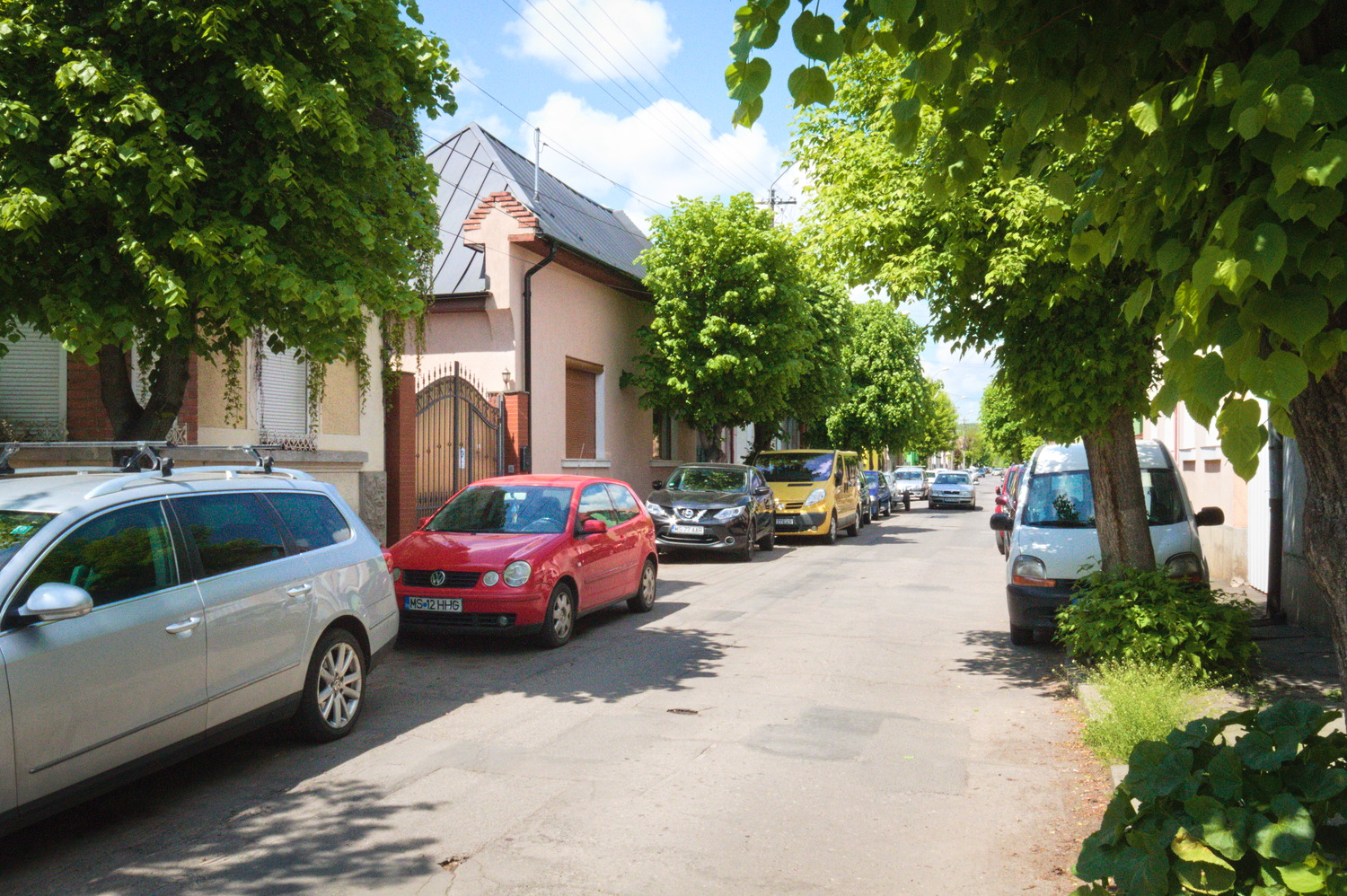 À Targu Mures, la rue du cabinet vétérinaire © Globe Reporters