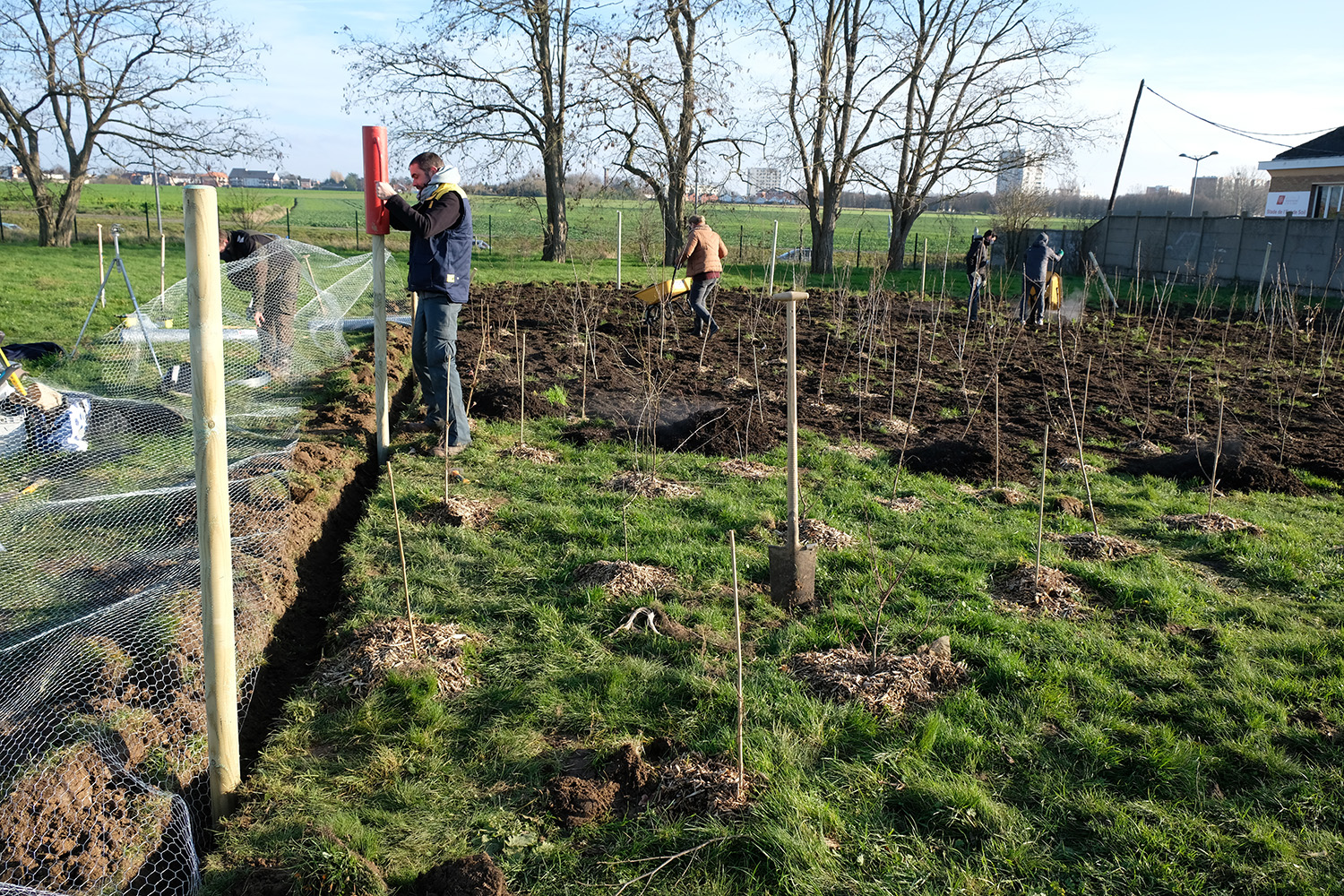 Sidonie rejoint le chantier entre midi et deux. Les arbres sont plantés. L’heure est à la protection du site © Globe Reporters