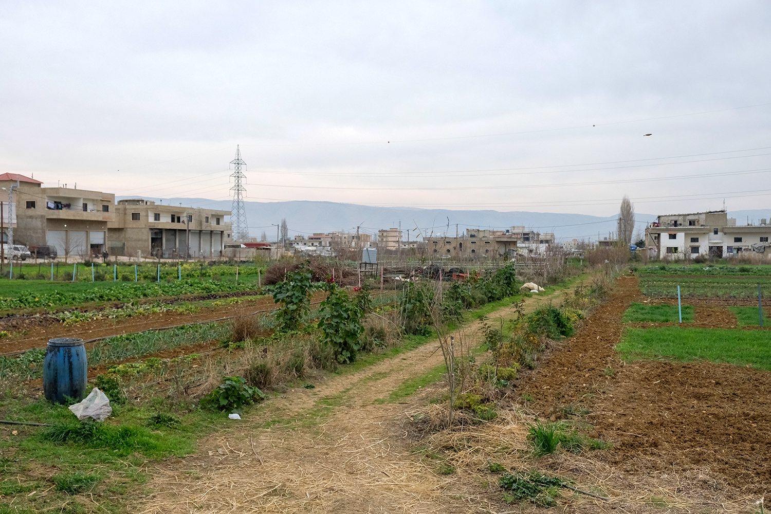 La ferme se situe en plein cœur du village de Saadnayel, dans la Bekaa, à quelques minutes en voiture de la ville de Chtaura © Globe Reporters