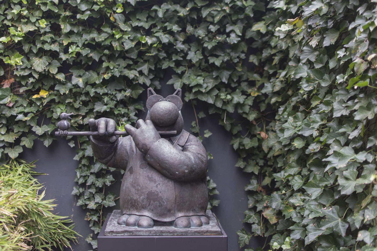 Le Chat est partout : il joue de la flûte dans le jardin.