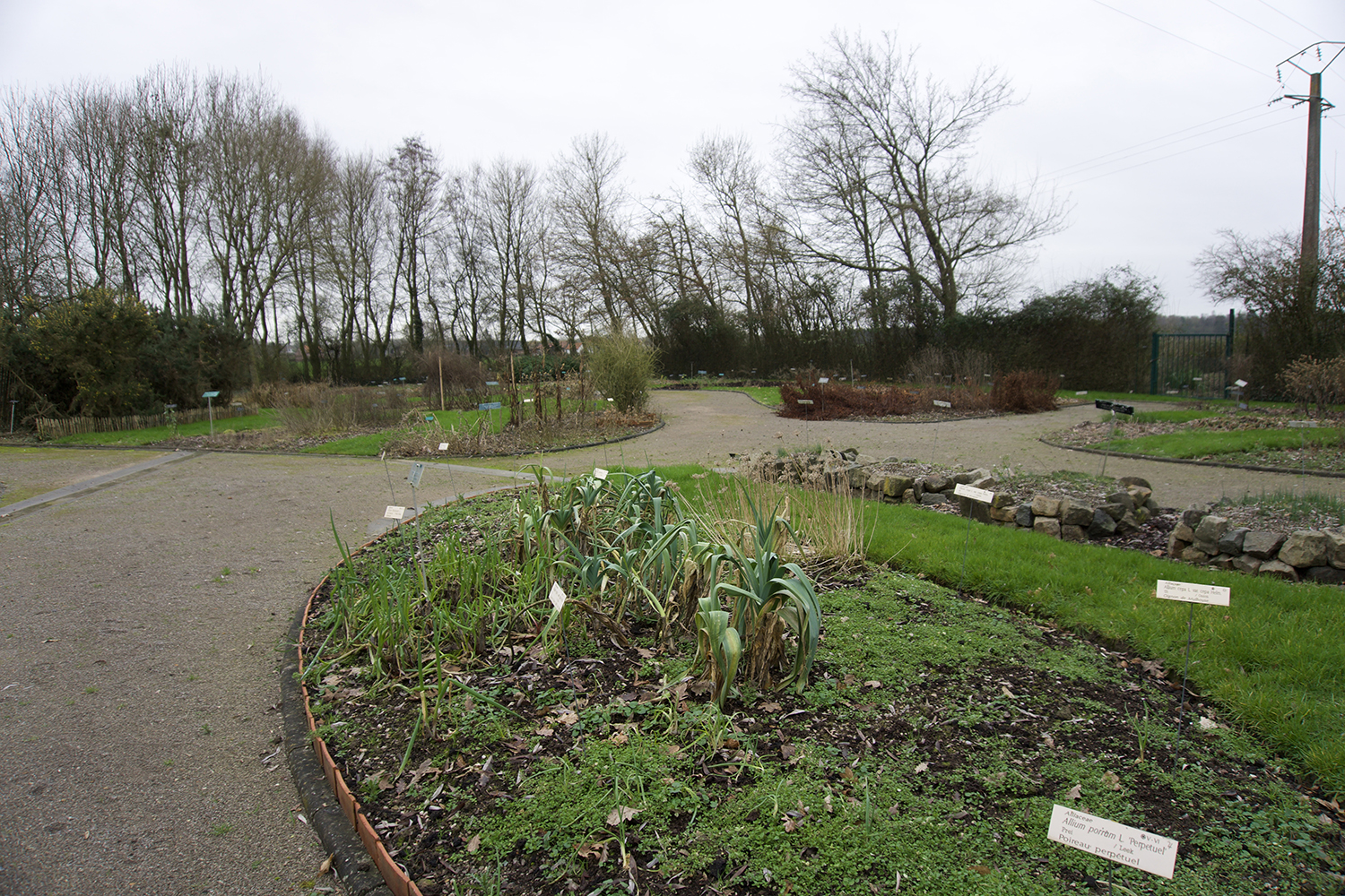 Le Conservatoire botanique national de Bailleul a plus d’un millier d’espèces de plantes. Elles sont réparties en parcelles. © Globe Reporters