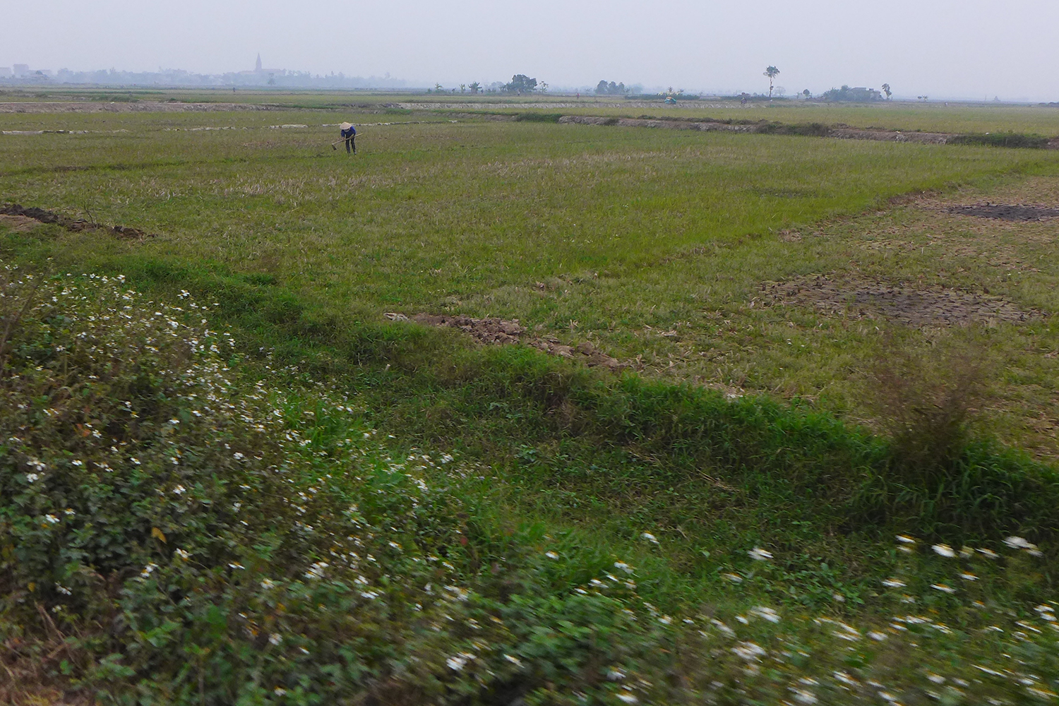 Ici, la brume est omniprésente.  Mai ne se pose pas de questions : travailler dans les champs de riz, c’est son métier. Elle le fait depuis qu’elle est enfant et le fera toute sa vie.