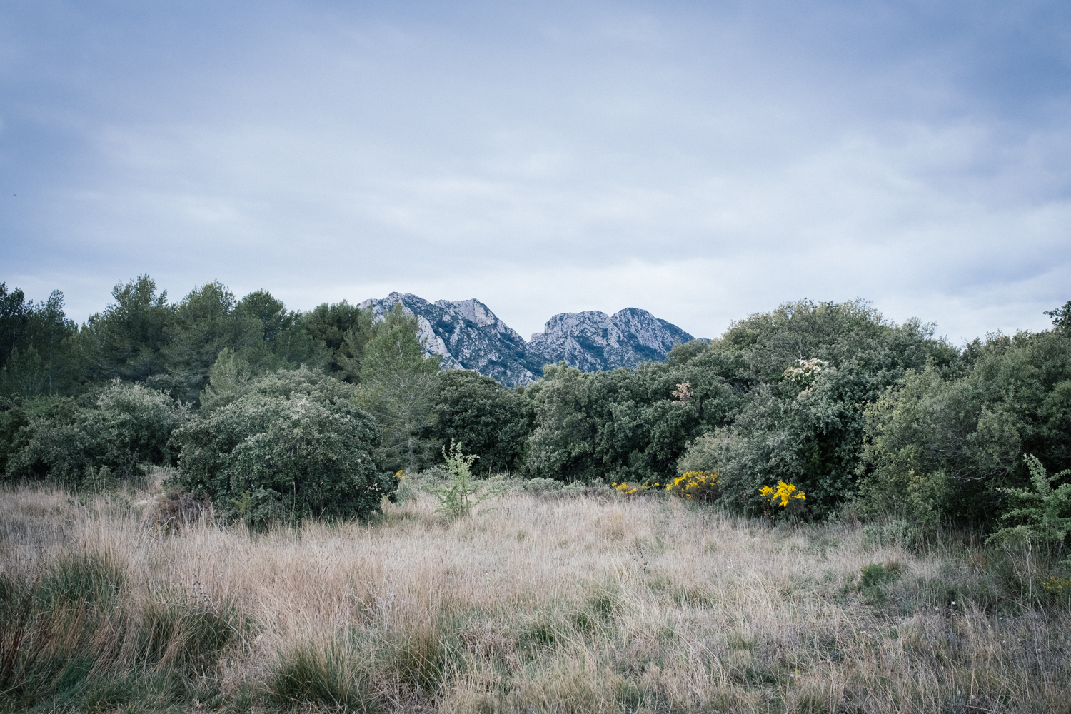 Les paysages du Parc naturel régional des Alpilles sont magnifiques, mais Leonor n’a pas le temps de les contempler, il faut qu’elle retrouve la route pour arriver à l’heure au rendez-vous ! © Globe Reporters