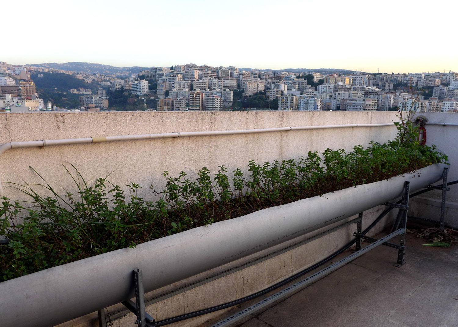 Il est possible d’utiliser des matériaux de récupération pour réaliser un toit vert.