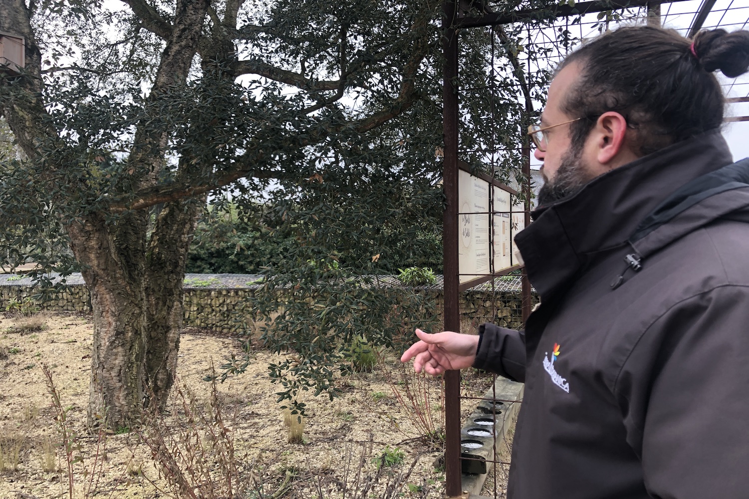 Boris BARRE nous montre un chêne-liège dont les besoins en eau sont très limités. « C’est le cousin coriace des chênes qu’on connaît », rigole-t-il © Globe Reporters