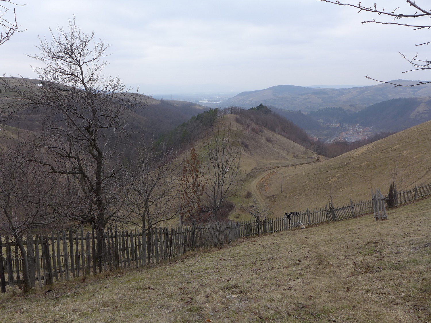 Depuis la ferme, on a une belle vue panoramique sur les alentours.