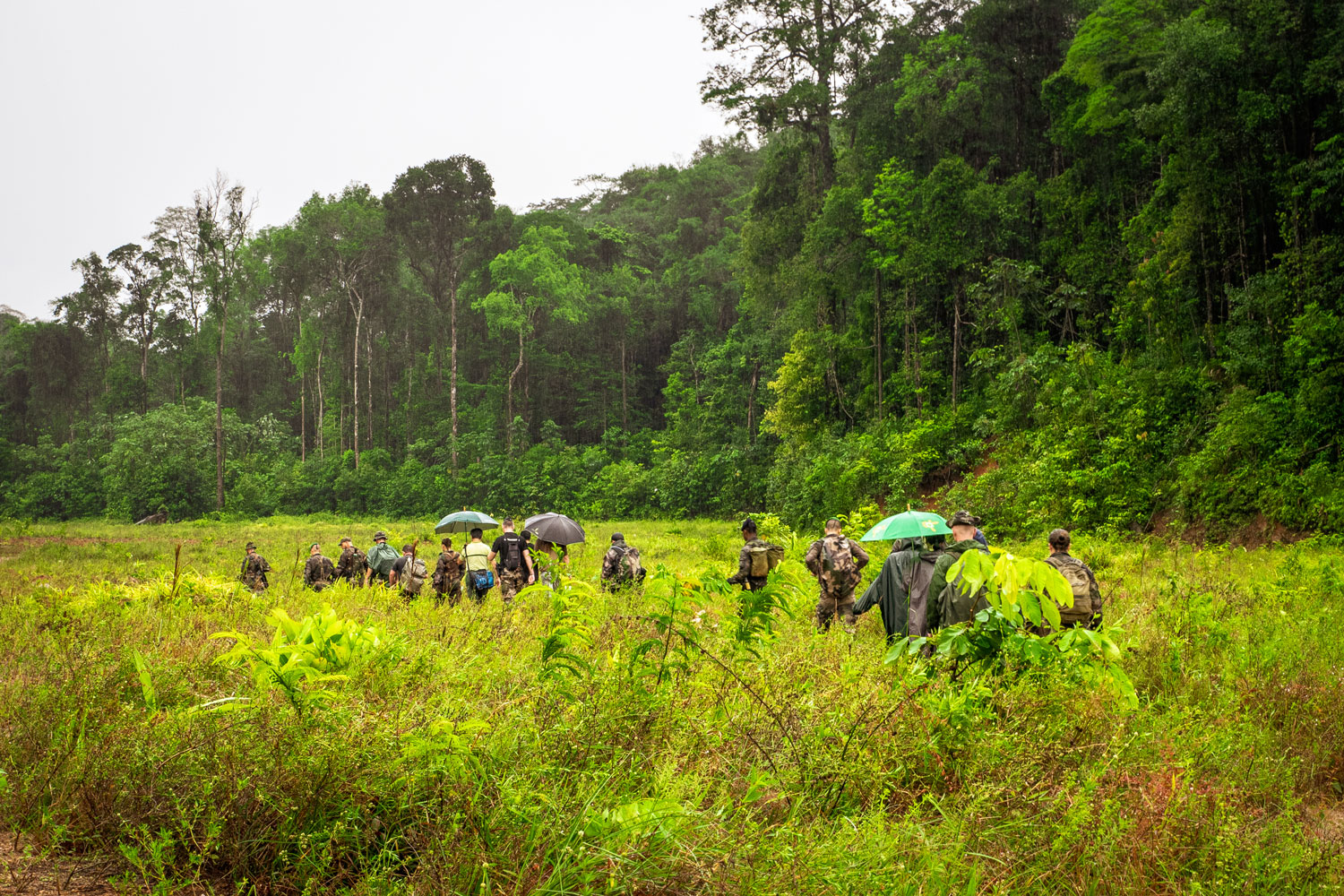 Une mission dans le cadre du plan de lutte contre l’orpaillage illégal – crédit WWF