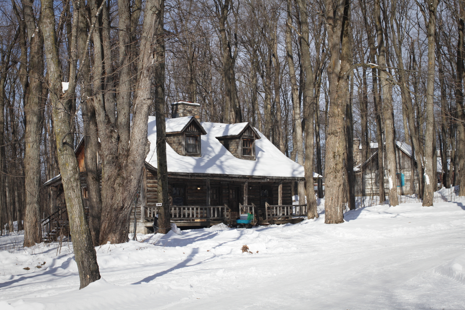 La Sucrerie est composée de plusieurs chalets en bois pour des locations, restaurant et magasin, d’inspiration du XIXème siècle.