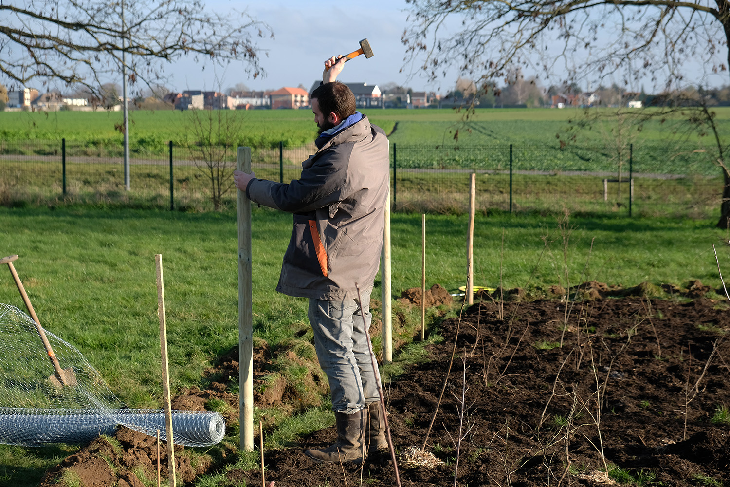 Les plantations sont sécurisées à l’intérieur d’un enclos afin d’être protégées des lapins ! © Globe Reporters