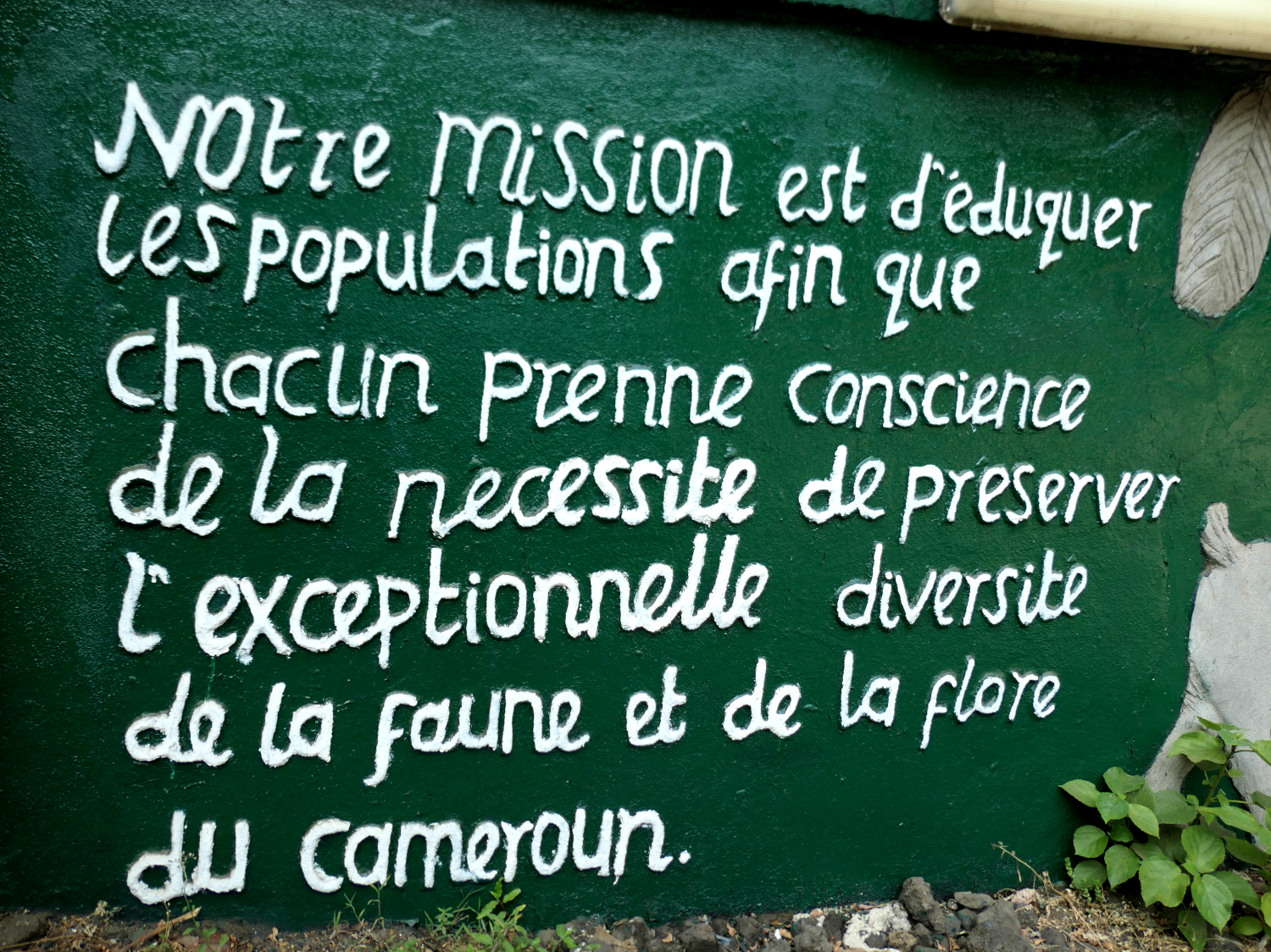 Peinture murale rappelant la mission du Limbé Wildlife Center © Globe Reporters