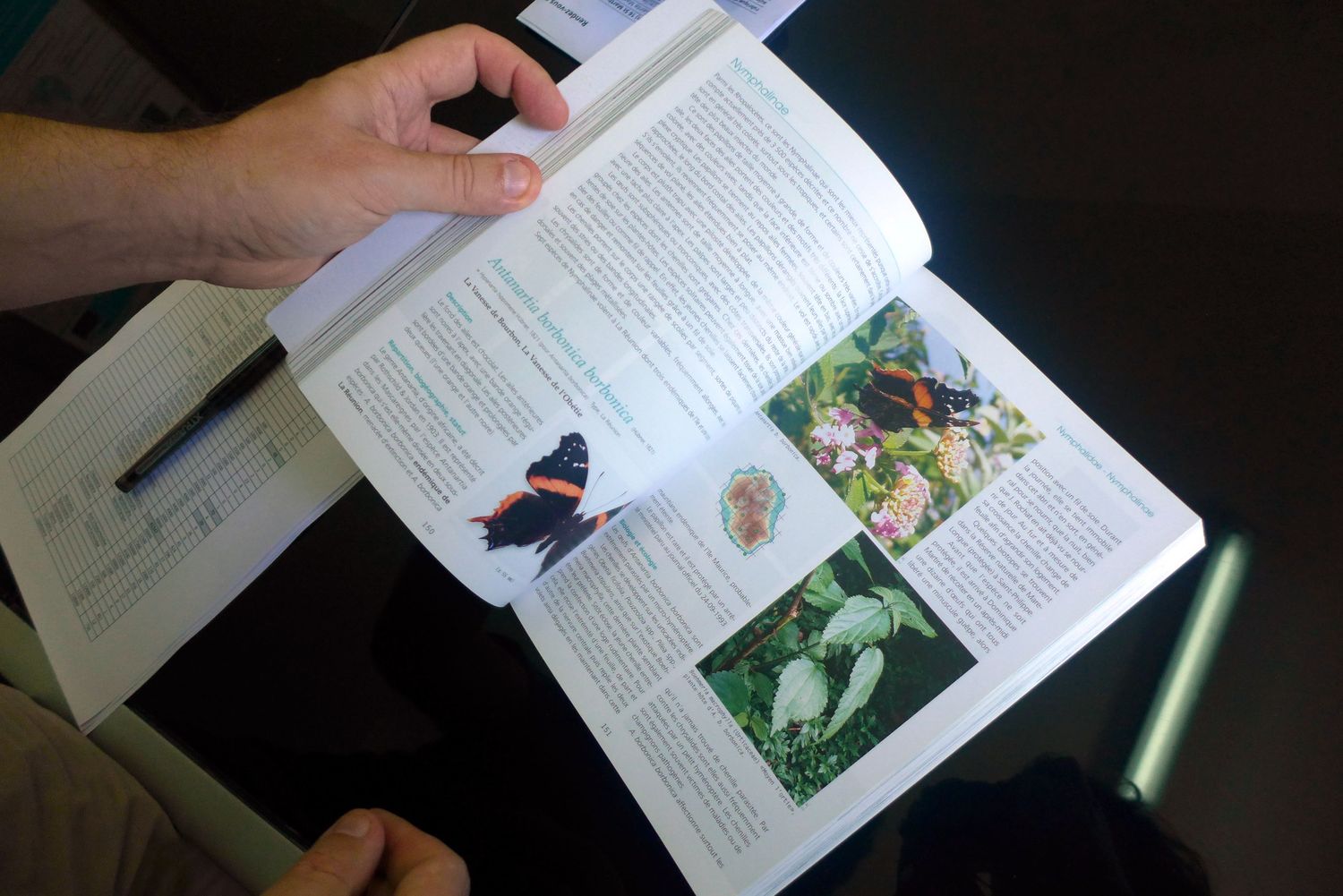 Avec son collègue Dominique MARTIRÉ, ils ont référencé tous les papillons connus de La Réunion.