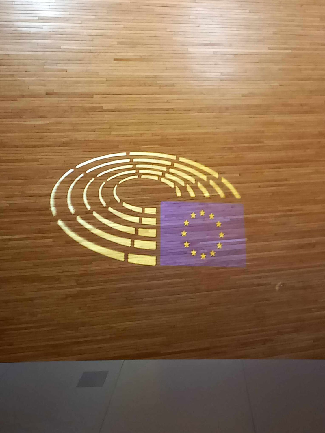 Projection de l’hémicycle sur un des murs du Parlement © Globe Reporters