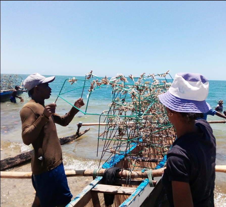 Des villageois de Sarodrano participent à une activité de restauration par transplantation de coraux © Gildas/IH.SM