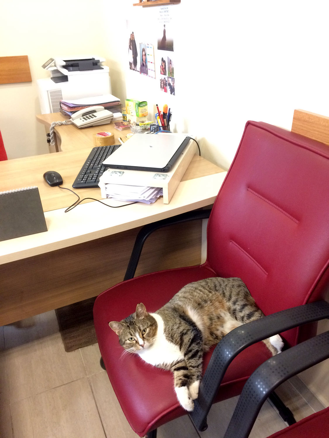 Dans le bureau, nous découvrons une invitée surprise