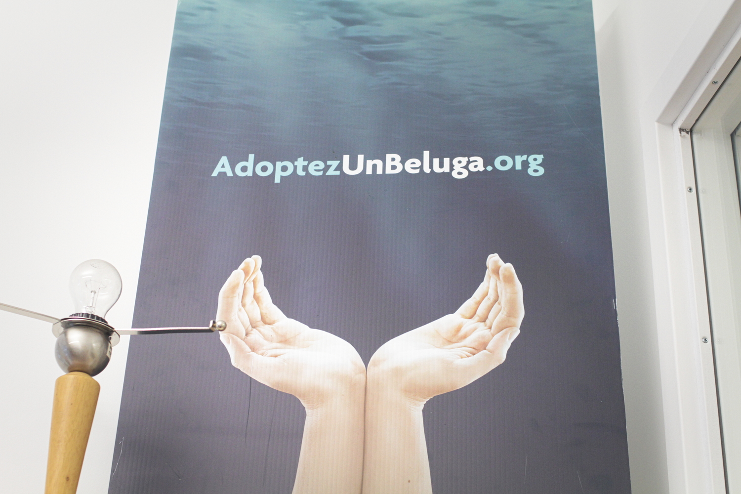 Affiche de la campagne Adoptez un béluga.