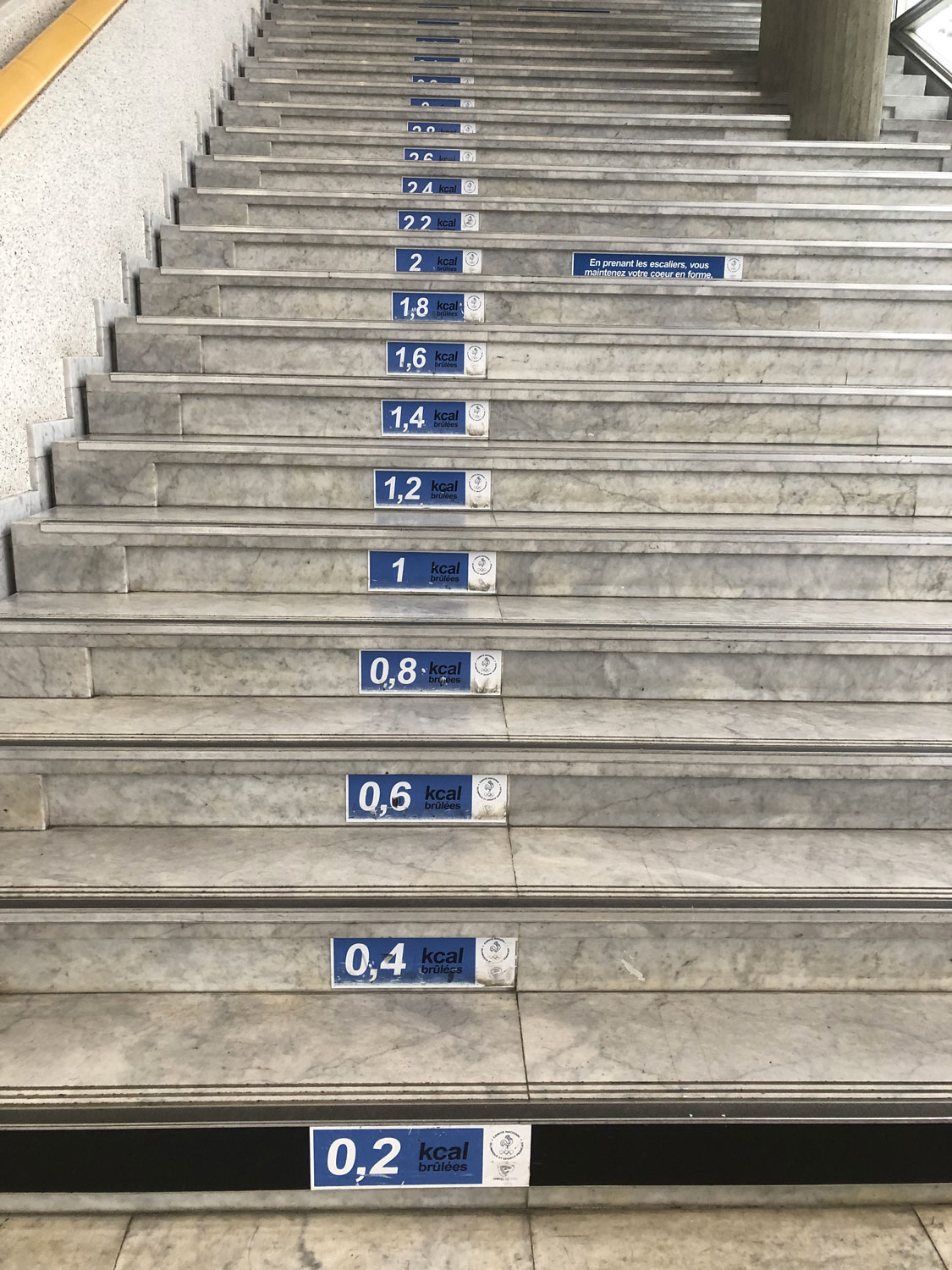 À monter les escaliers à pied, on perd 0,2 calorie à chaque marche. Au CNOSF pas besoin de compter les marches pour savoir combien vous avez perdu de calories, c’est écrit dessus ! © Globe Reporters