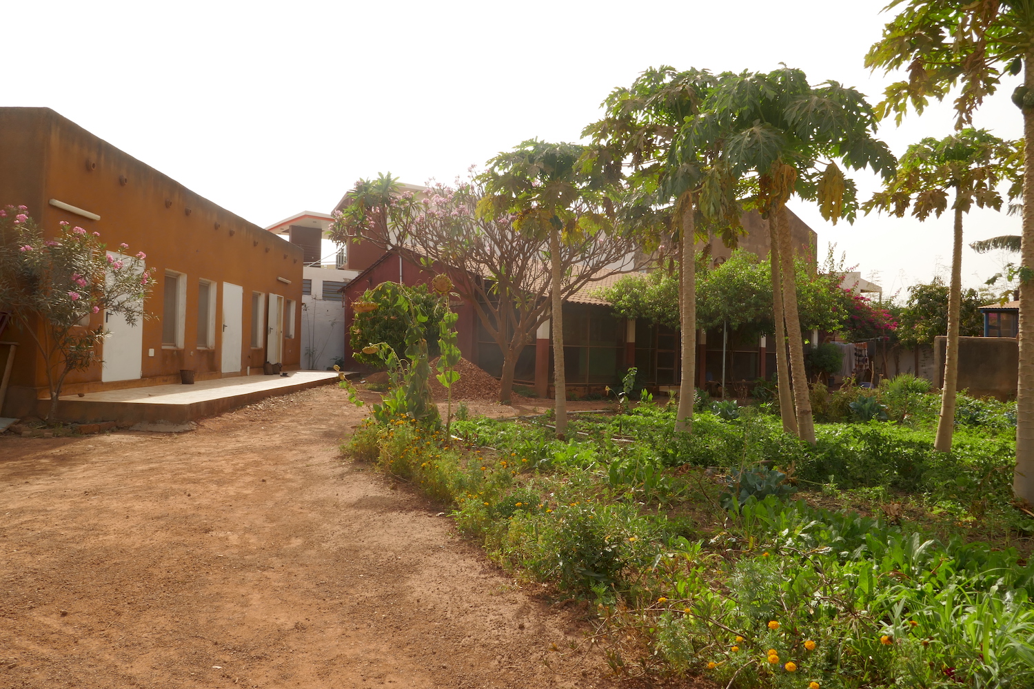 La maison du centre est au fond du jardin. C’est là que l’entretien est réalisé © Globe Reporters